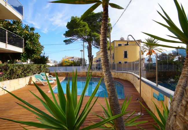 Apartment in Port de Pollença - Superb apartment, 150 m to beach!, beautiful pool!