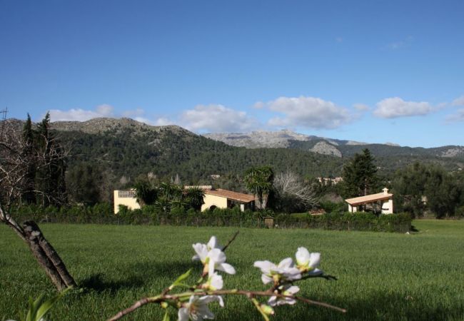 Landhaus in Pollensa / Pollença - MARAVILLOSA FINCA EN VALL DE COLONYA