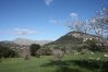 Landhaus in Pollensa / Pollença - MARAVILLOSA FINCA EN VALL DE COLONYA